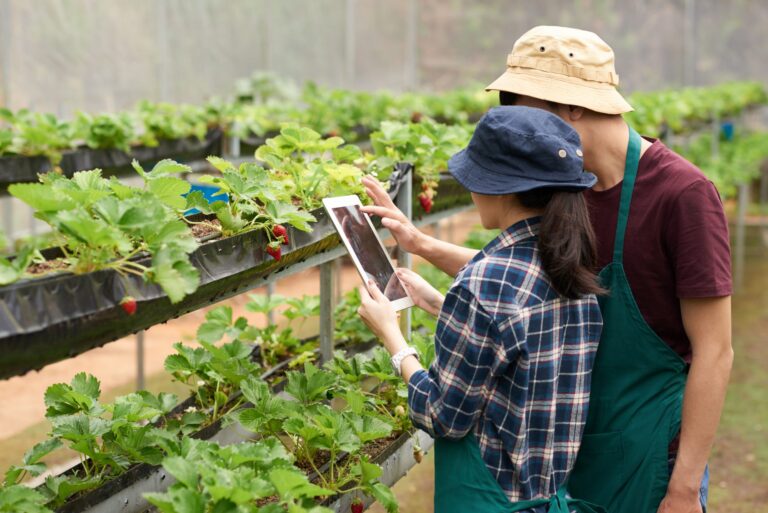 La inteligencia artificial crea la “agricultura inteligente”