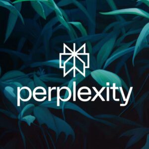 perplexity