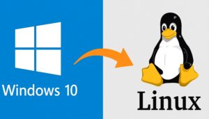 Windows 10 a Linux