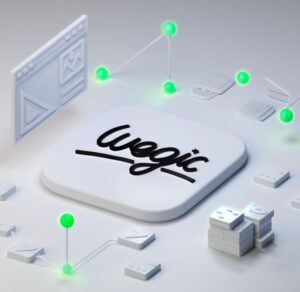 Wegic