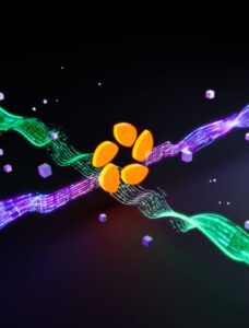 Zencoder.ai